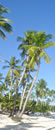 La Romana 