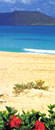 Fuerteventura