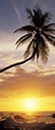 San Jos�